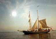 A clipper in the harbor